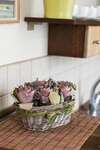 Апартаменты Tourist welcoming Old town apartment with a balcony Клайпеда-7